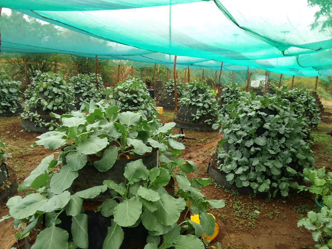 Tech-Enabled Farming